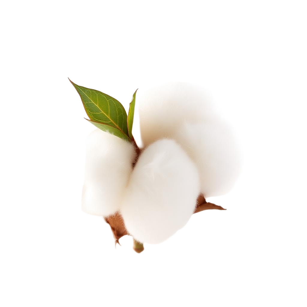 Almíscar